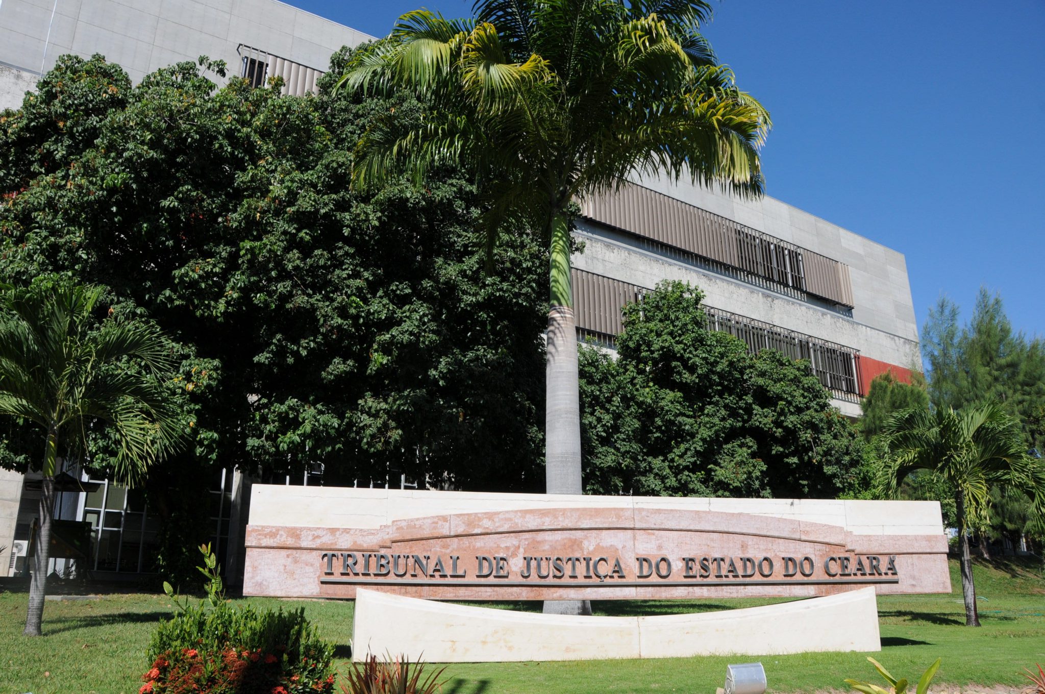 Oportunidade para Administradores: Tribunal de Justiça credencia peritos